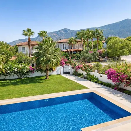 Organic - 6 Person Private Luxury * داليان