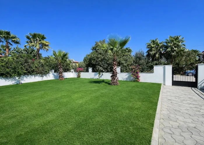 Organic - 6 Person Private Luxury Villa
