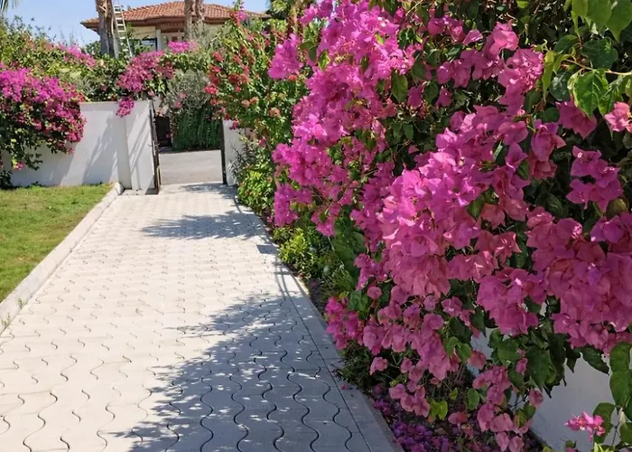 Vilă Organic - 6 Person Private Luxury Dalyan